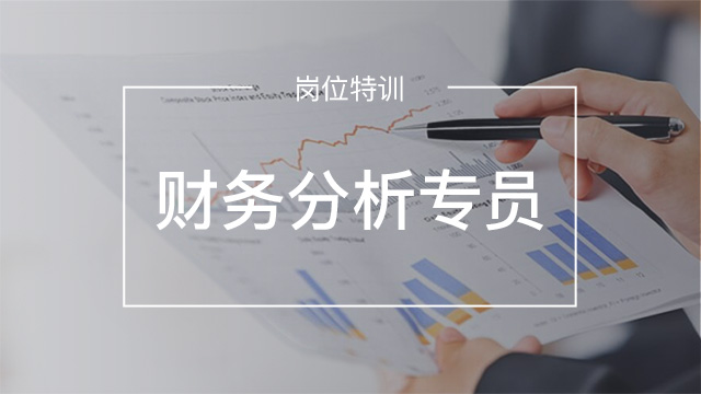 務(wù)分析專員