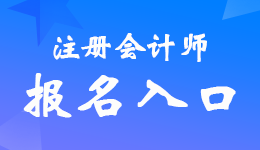 ����ע�ԕ�(hu��)Ӌ(j��)����(b��o)����ڹپW(w��ng)��ʲô�� 