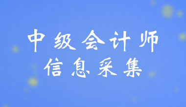 ����2024���м�(j��)��(hu��)Ӌ(j��)����(b��o)��ǰ��Ҫ�����Ϣ�ɼ�����