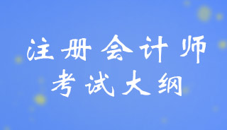 2024��ע��(c��)��(hu��)Ӌ(j��)����ԇ��Vʲô�r(sh��)�g������