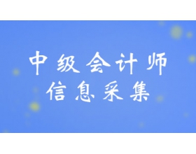 �ຣ2024���м���Ӌ��������Ҫ��Ϣ�ɼ�����